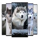 Wolf-Hintergrundbild APK