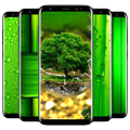 Green Wallpaper