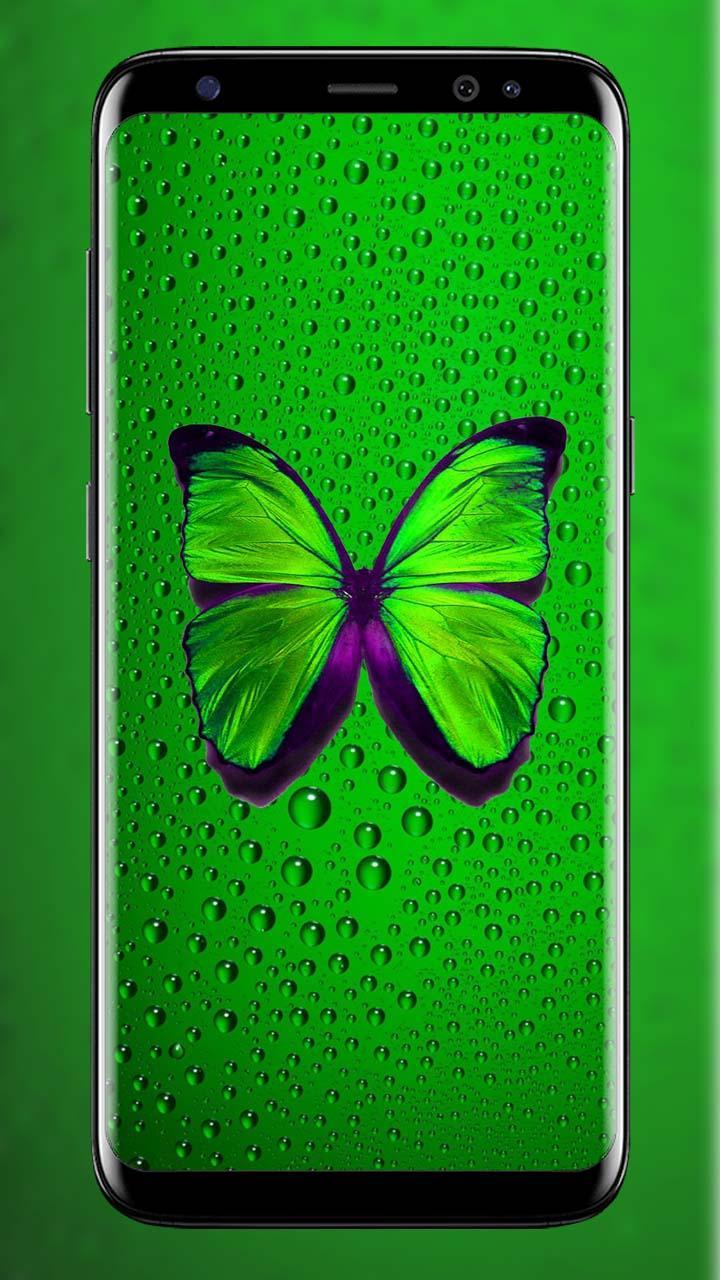 Телефон айфон зеленый. Хонор 9а зеленый. Хонор 10 i зелёный. Хонор 11 изумрудный. Хонор 9 салатовый.