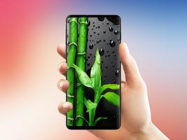 Galaxy S10 için Duvar Kağıdı gönderen