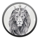 Cool Animal Sketch Drawing APK