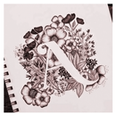 Sketch Flower Drawing Ideas APK