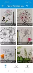 Flower Drawings and Sketches APK download