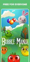 Rabbit Bubble Fall Shooter poster