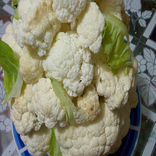 Recetas de Coliflor sin Internet Gratis 🍽