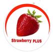 Strawberry PLUS