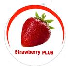 Strawberry PLUS icon