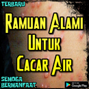 Ramuan Herbal Cacar Air Paling Mujarab APK