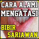 Cara Alami Mengatasi Bibir Sariawan APK