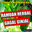 Ramuan Herbal Gagal Ginjal Terbukti Ampuh APK