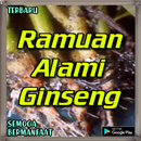 Ramuan Alami Ginseng Menambah Stamina APK