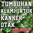 Ramuan Alami Untuk Kanker Otak Paling Ampuh APK