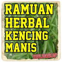 Ramuan Alami Kencing Manis Pal screenshot 2