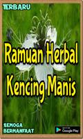 Ramuan Alami Kencing Manis Pal screenshot 3