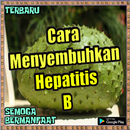 Cara Menyembuhkan Hepatitis B secara Alami APK