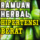 Bahan Herbal Yang Mampu Mengatasi Hipertensi Berat APK