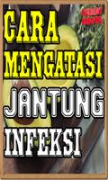 Cara Alami Mengatasi Jantung Infeksi captura de pantalla 1
