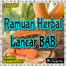 Ramuan Herbal Lancar Bab Terbu APK