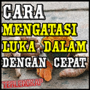 Cara Mengatasi Luka Dalam Deng APK