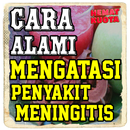 Cara Mengatasi Alami Penyakit Meningitis APK