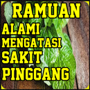 Ramuan Alami Mengatasi Sakit Pinggang APK