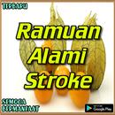 Ramuan Tradisional Penyakit Stroke Paling Ampuh APK