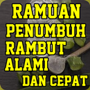 Penumbuh Rambut Alami Cepat Da APK