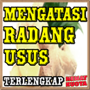 Ramuan Radang Usus DiJamin Paling Ampuh APK