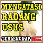 Ramuan Radang Usus DiJamin Pal icon