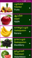 3 Schermata Learn Tamil From English