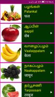 Learn Tamil From Hindi تصوير الشاشة 3