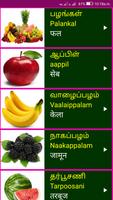 Learn Tamil From Hindi capture d'écran 3