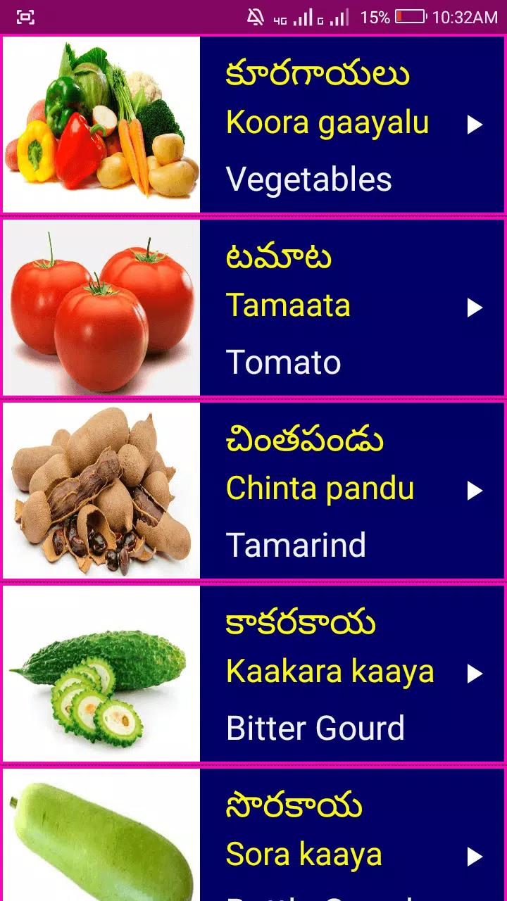 Learn Spoken Telugu From English pour Android - Téléchargez l'APK