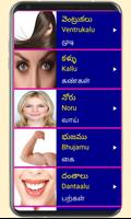 Learn Telugu From Tamil capture d'écran 2
