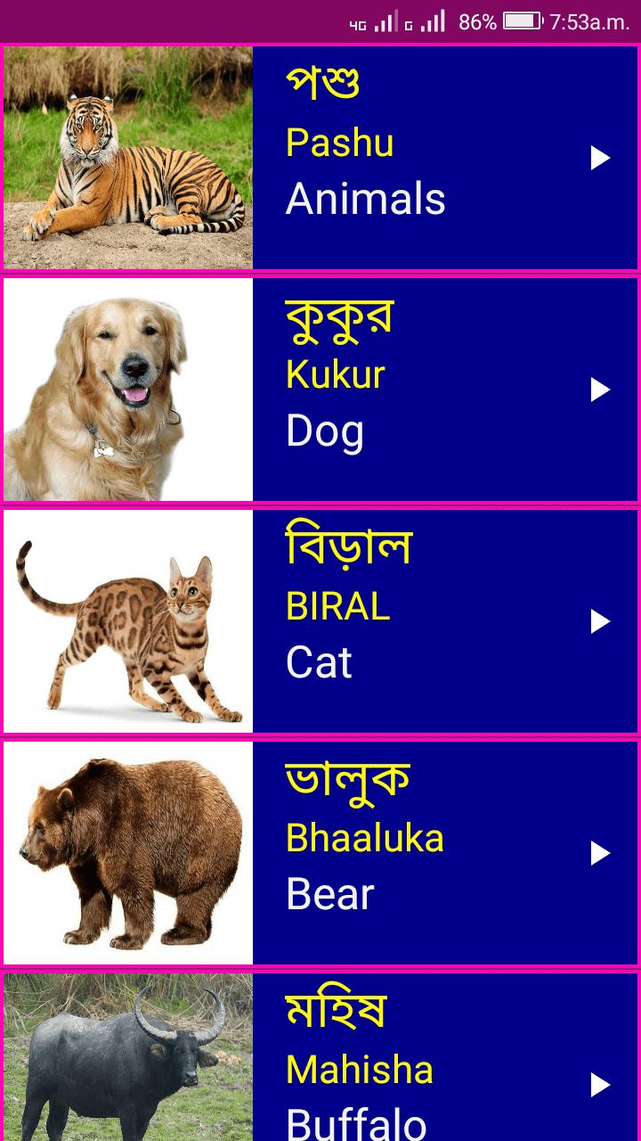 Learn Bengali From English APK for Android Download Learn Bengali From English APK for Android Download