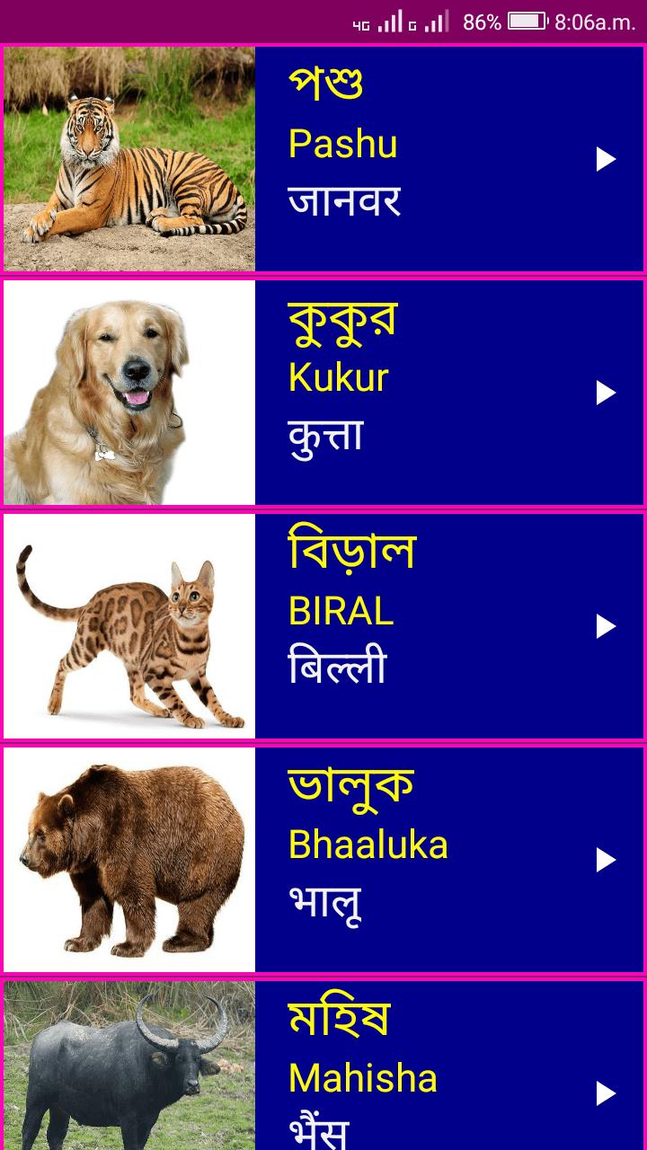 Learn Bengali From Hindi APK for Android Download