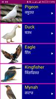 Learn English From Punjabi Screenshot 2