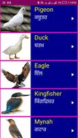 Learn English From Punjabi screenshot 2