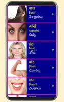 Learn Hindi From Telugu Pro 截圖 2