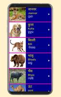 Learn Hindi from Odia (Oriya) 截圖 3