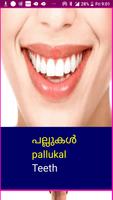 Learn Malayalam Wildlife Names Ekran Görüntüsü 2