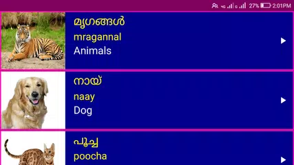 Learn Malayalam From English APK 10 for Android – Download Learn Malayalam  From English XAPK (APK Bundle) Latest Version from 