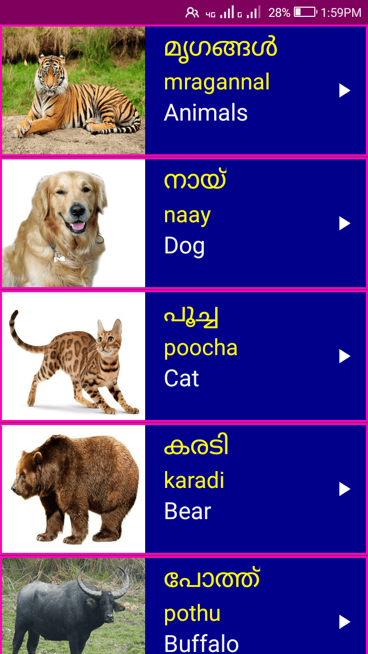 Learn Malayalam From English APK 10 for Android – Download Learn Malayalam From English XAPK (APK Bundle) Latest Version from Learn Malayalam From English APK 10 for Android – Download Learn Malayalam From English XAPK (APK Bundle) Latest Version from