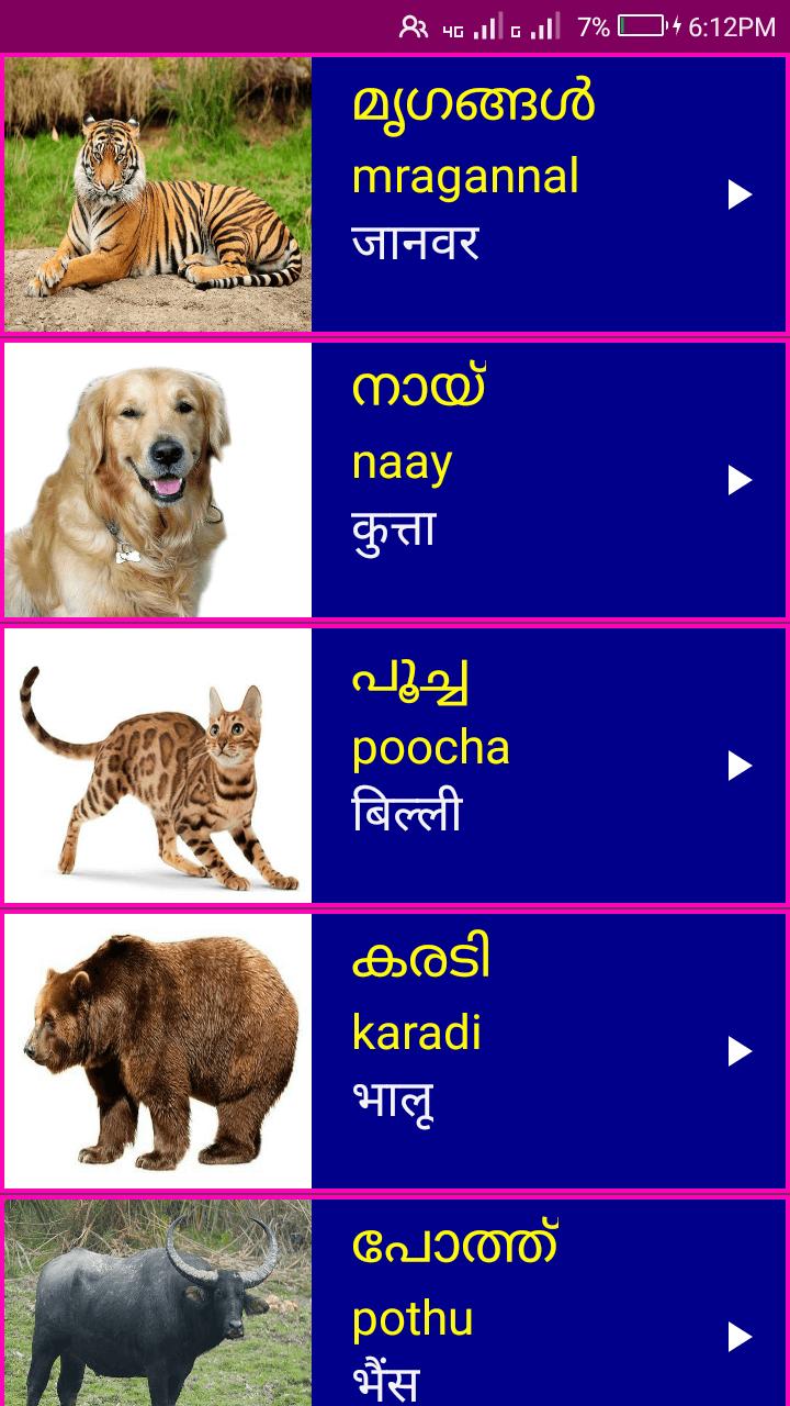 Learn Malayalam From Hindi For Android Apk Download