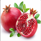 Malayalam Fruits & Vegetables simgesi