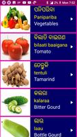 Learn Odia From English 截圖 3