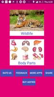 Learn Odia Wildlife and Body Parts gönderen