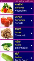 Learn Punjabi From English الملصق