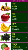 Learn Punjabi From English Ekran Görüntüsü 2
