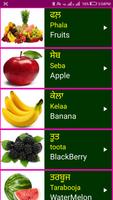 Learn Punjabi From English syot layar 2